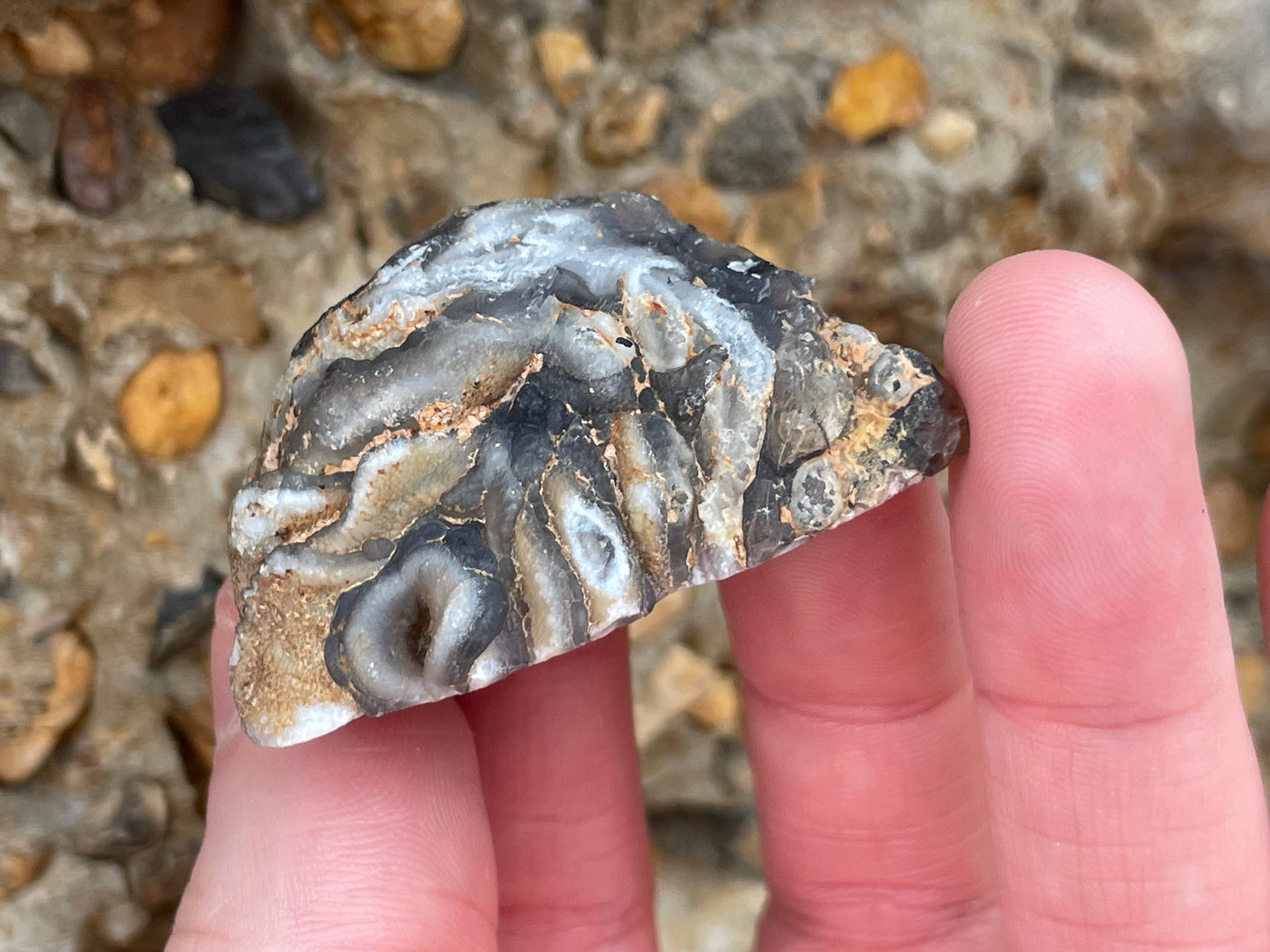 Oco Agate, Black and White Zebra