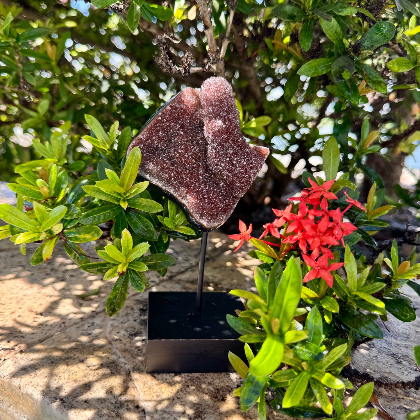 Red Rainbow Amethyst on Stand