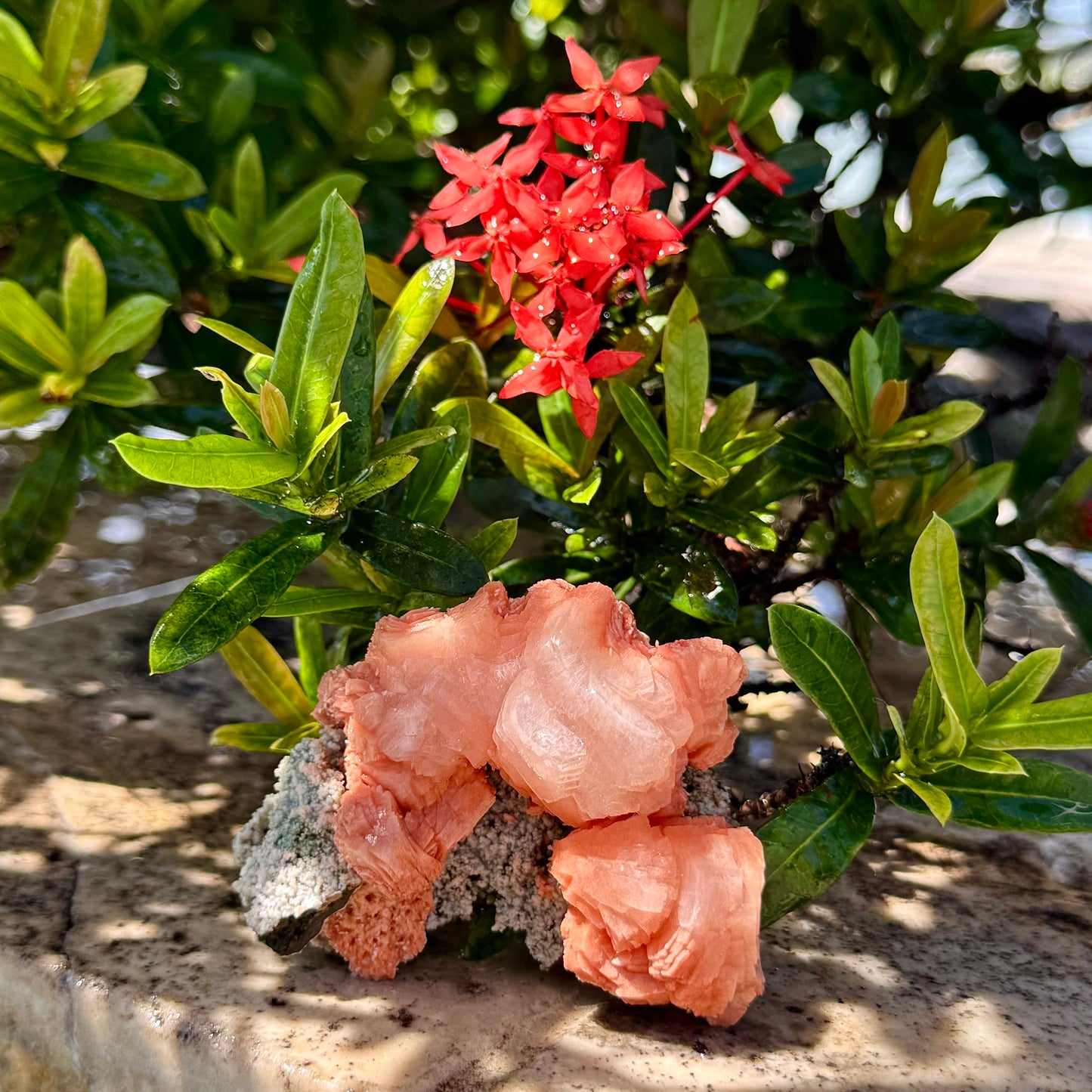 Peach Stilbite Cluster