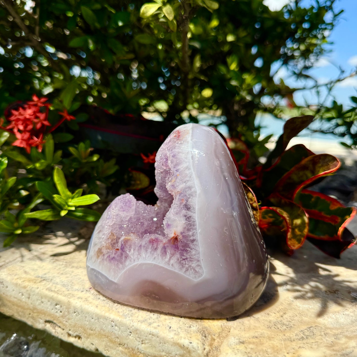 Amethyst Agate Open Shark Mouth Geode