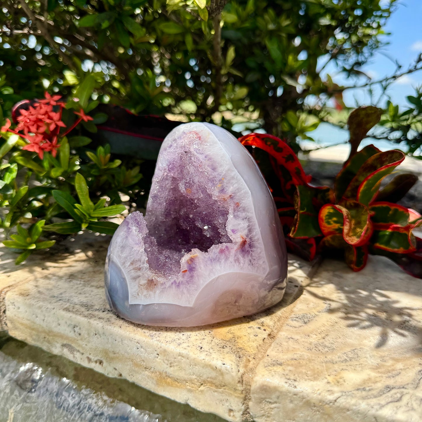 Amethyst Agate Open Shark Mouth Geode