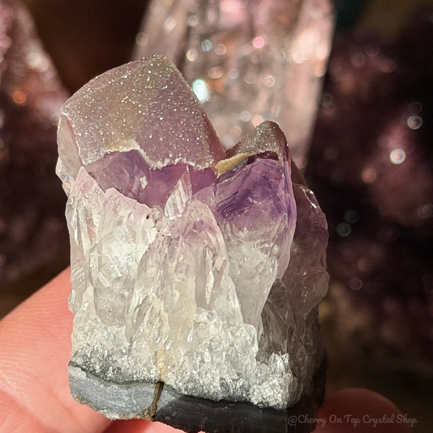 Amethyst Phantom Sugar Tooth Mini