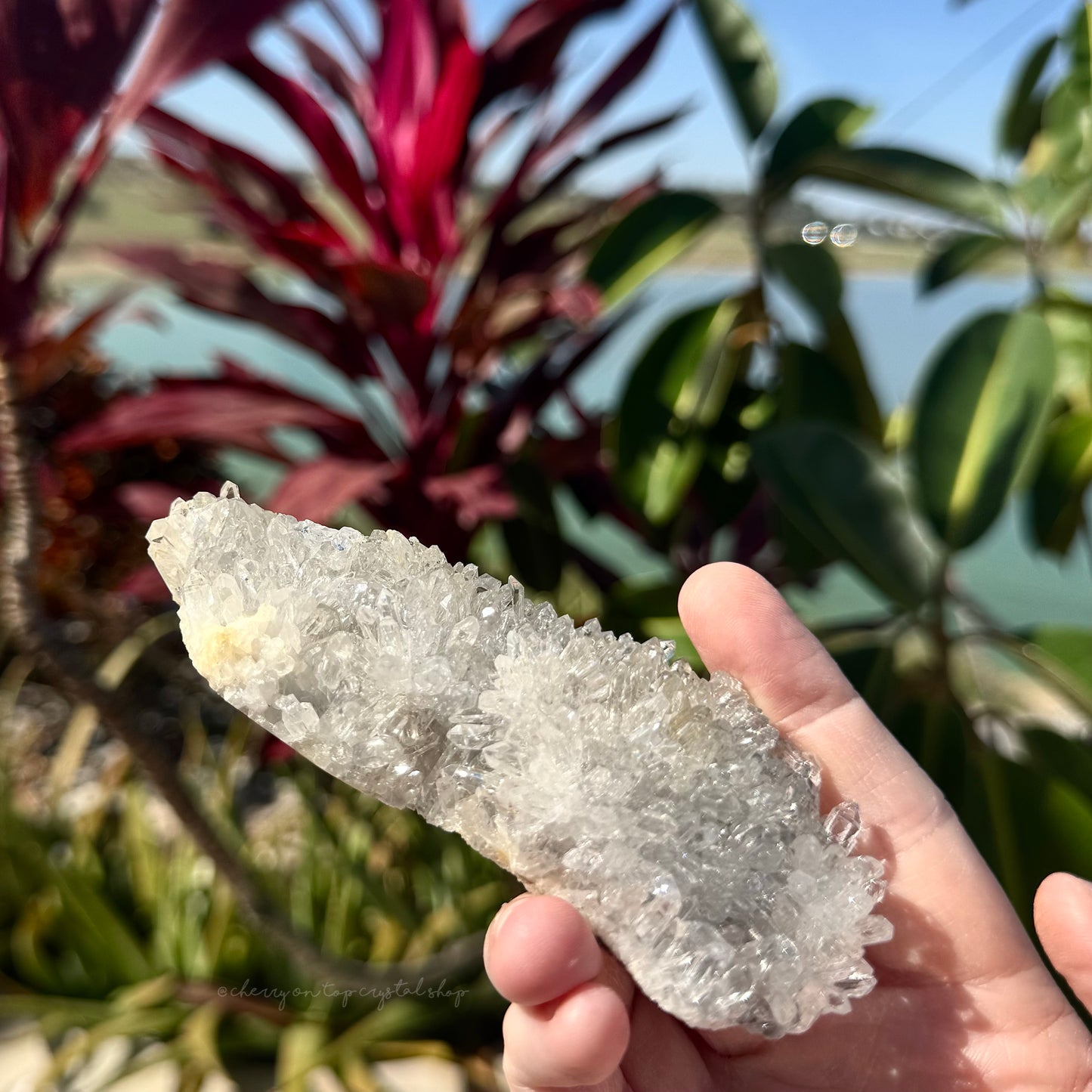 Chrysanthemum Clear Quartz Cluster