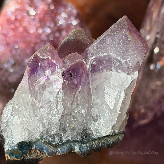 Amethyst Phantom Sugar Tooth Mini