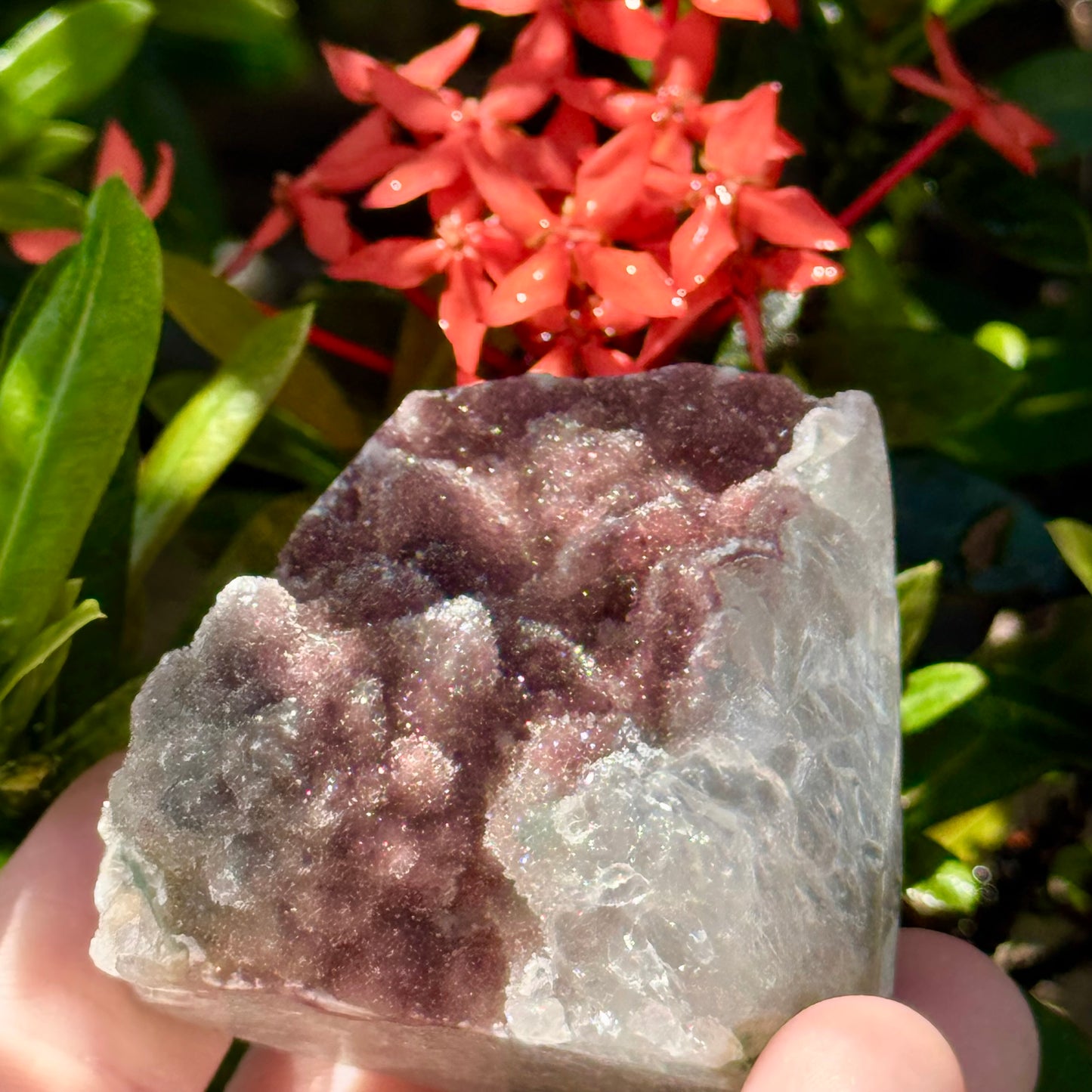 Mauve Red Minty Green Sugar Amethyst Quartz Cut Base