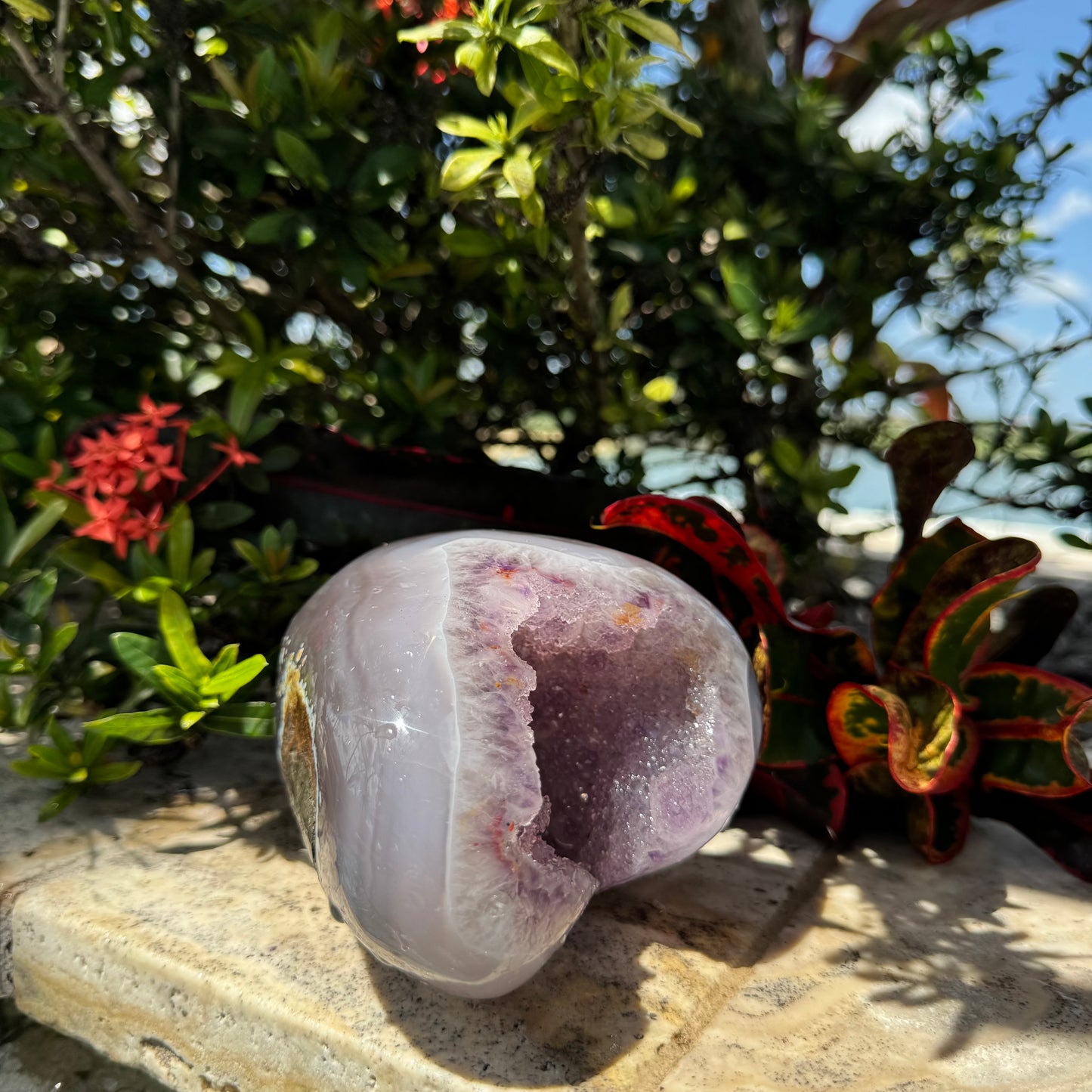 Amethyst Agate Open Shark Mouth Geode