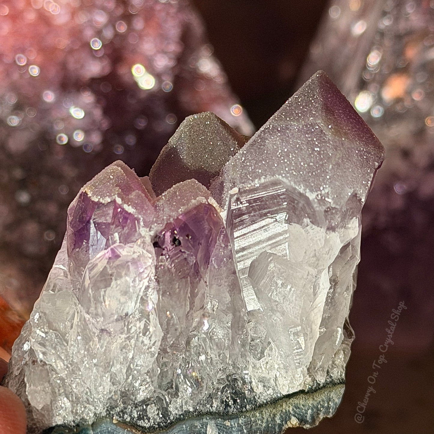 Amethyst Phantom Sugar Tooth Mini