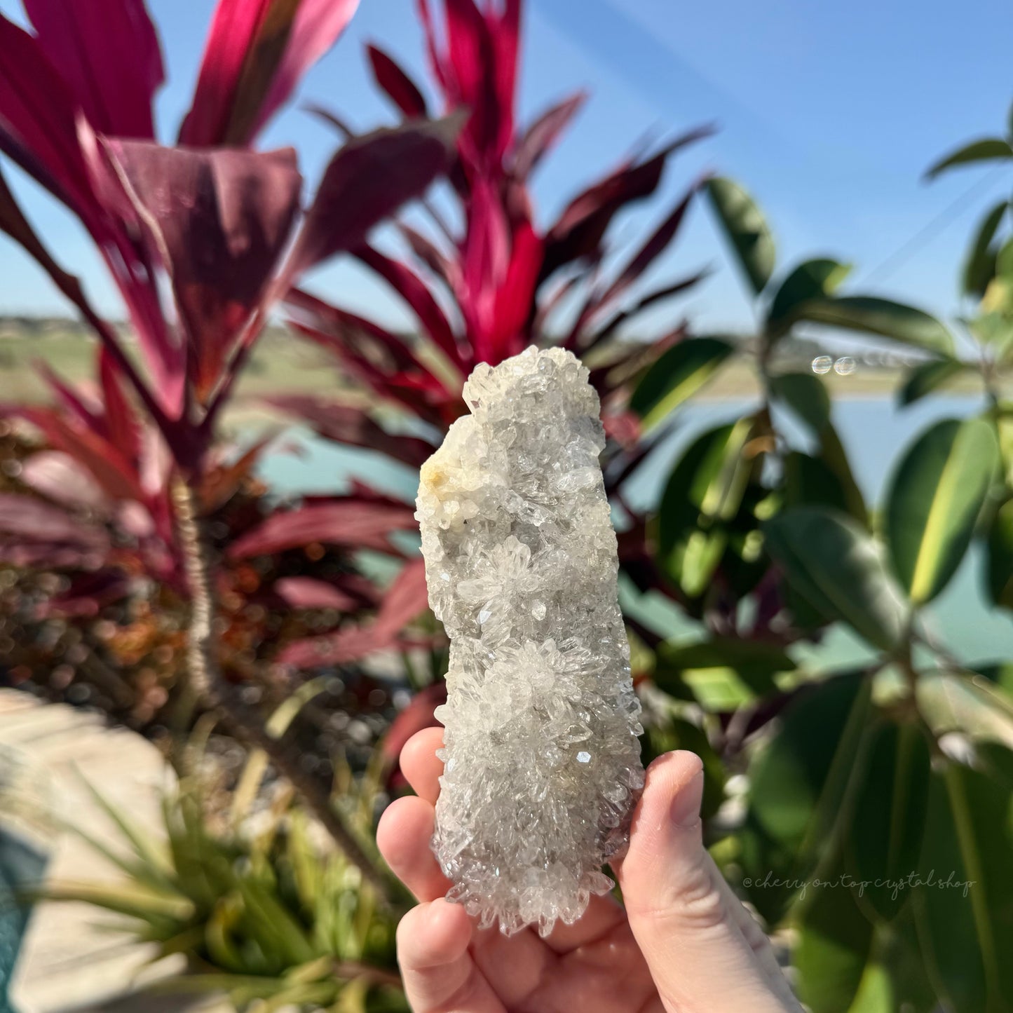 Chrysanthemum Clear Quartz Cluster
