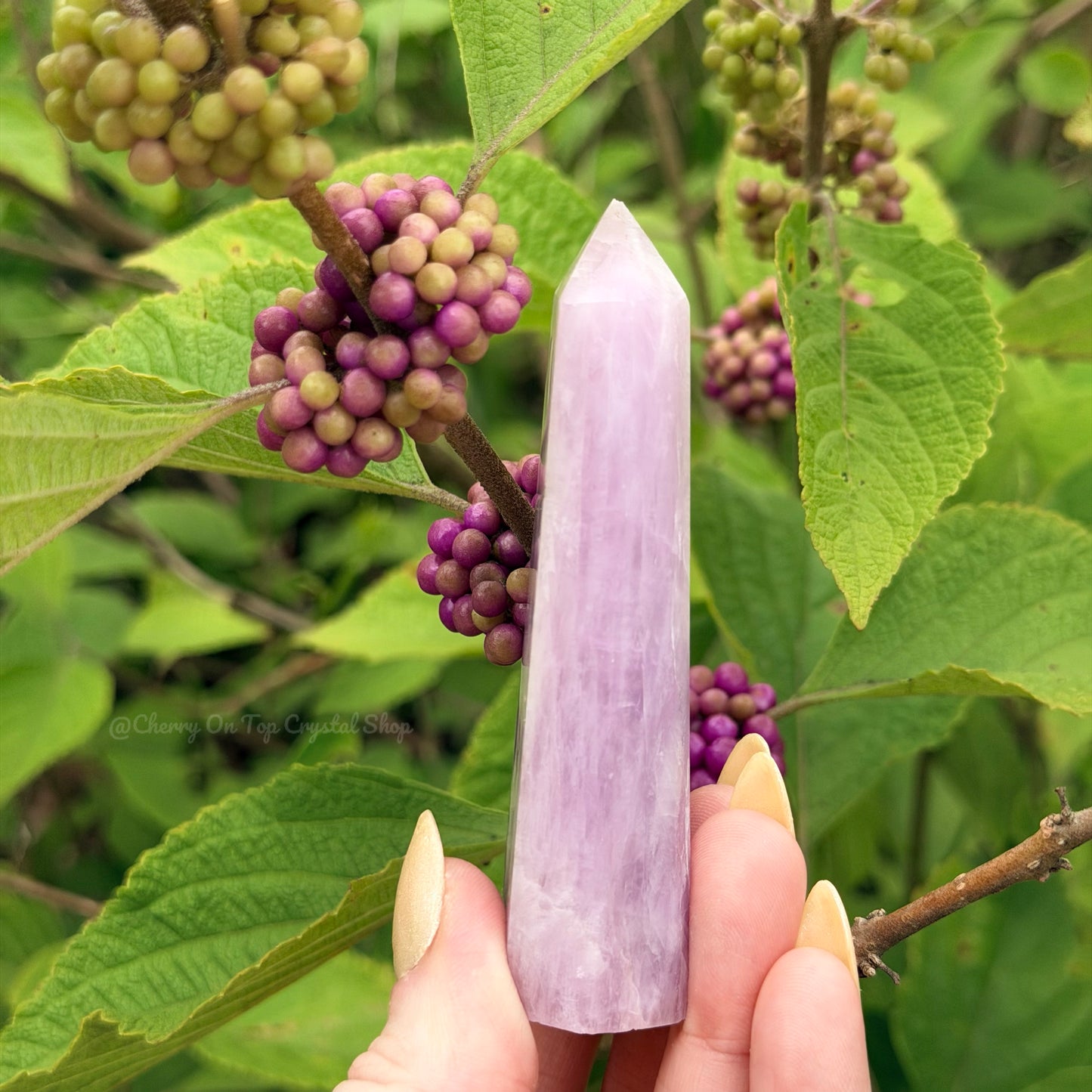Beautyberry Split Kunzite x Lepidolite Tower