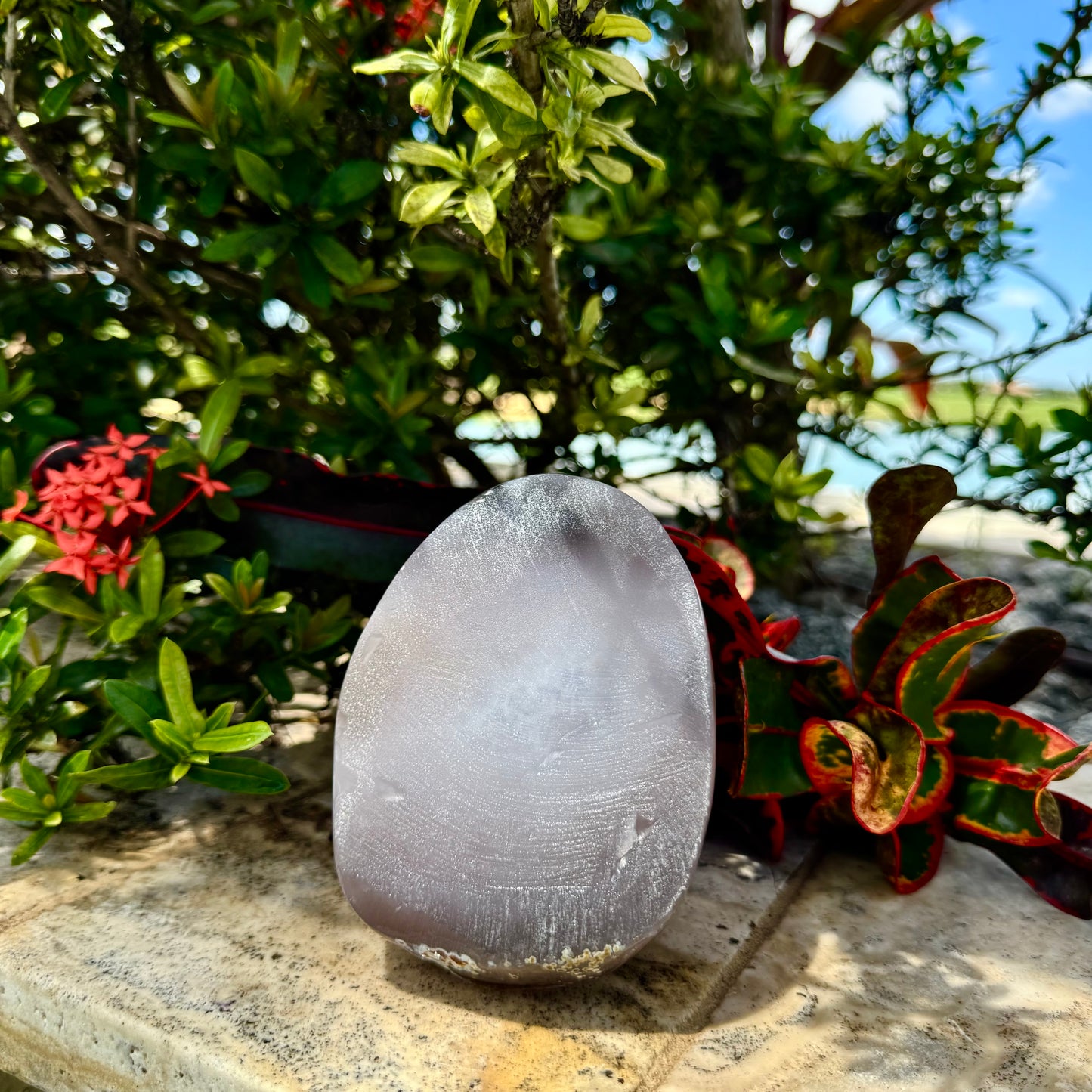 Amethyst Agate Open Shark Mouth Geode