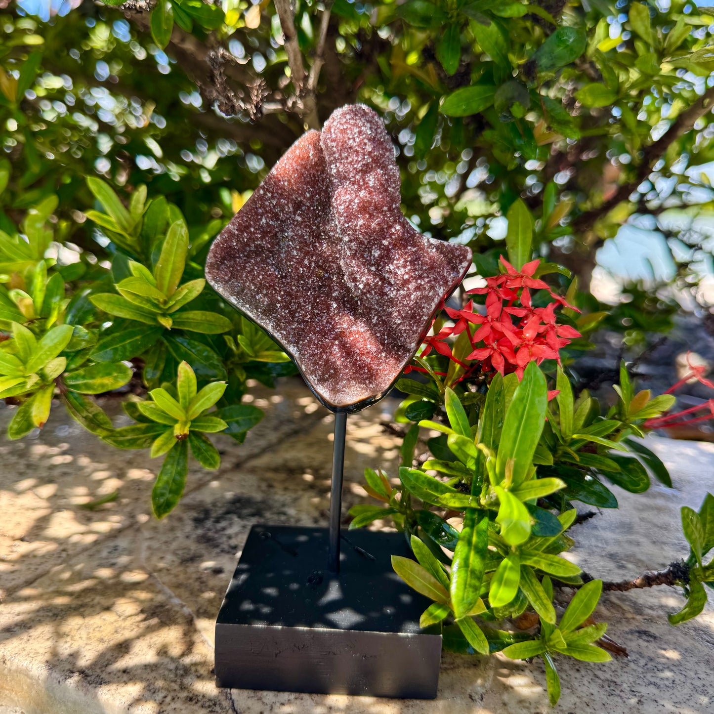 Red Rainbow Amethyst on Stand
