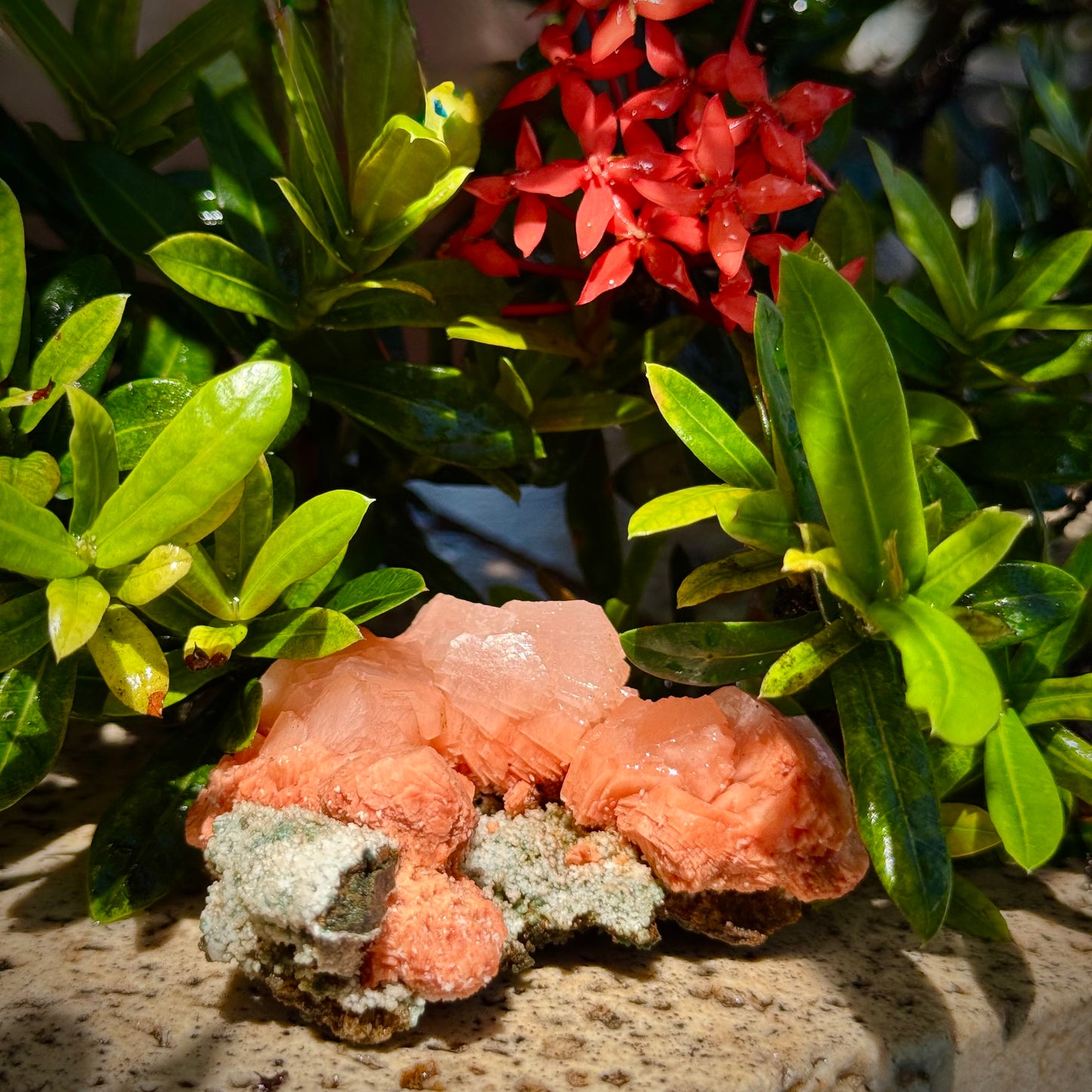 Peach Stilbite Cluster