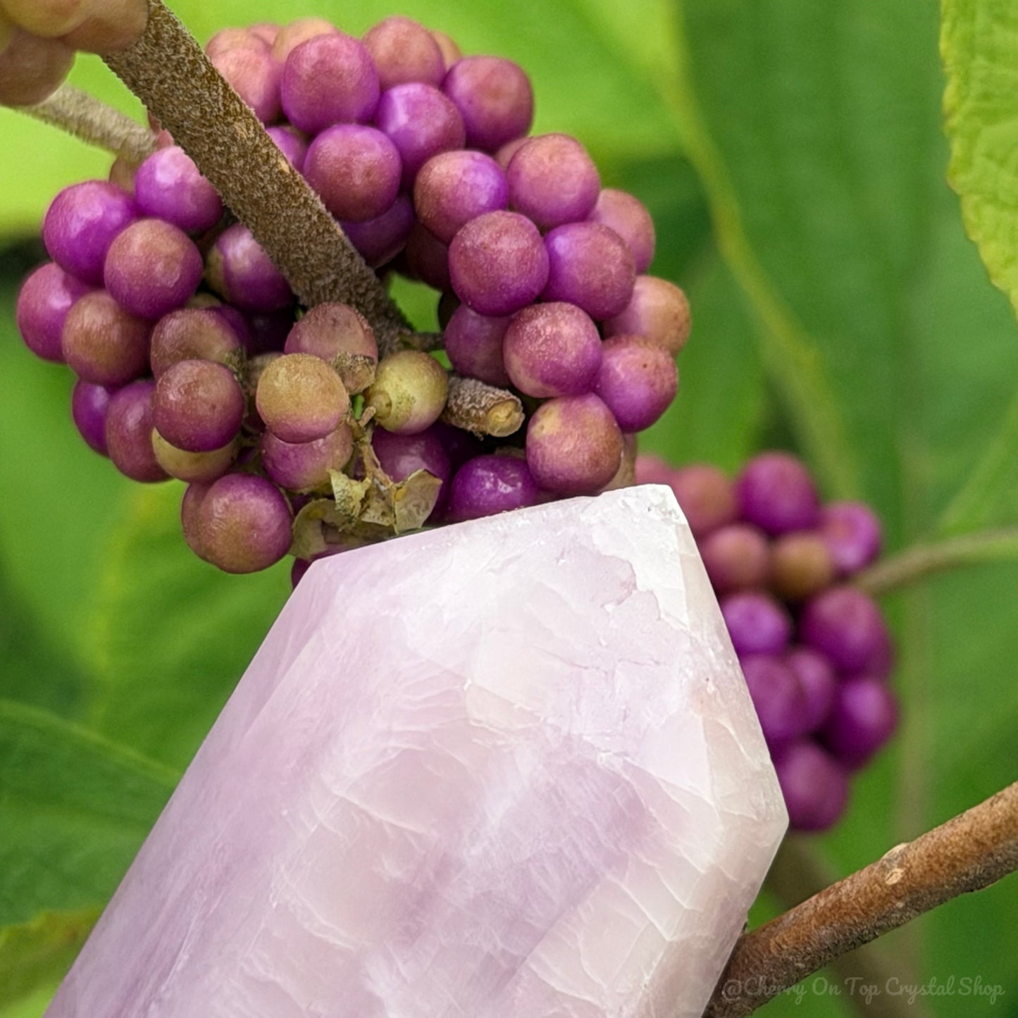 Beautyberry Split Kunzite x Lepidolite Tower