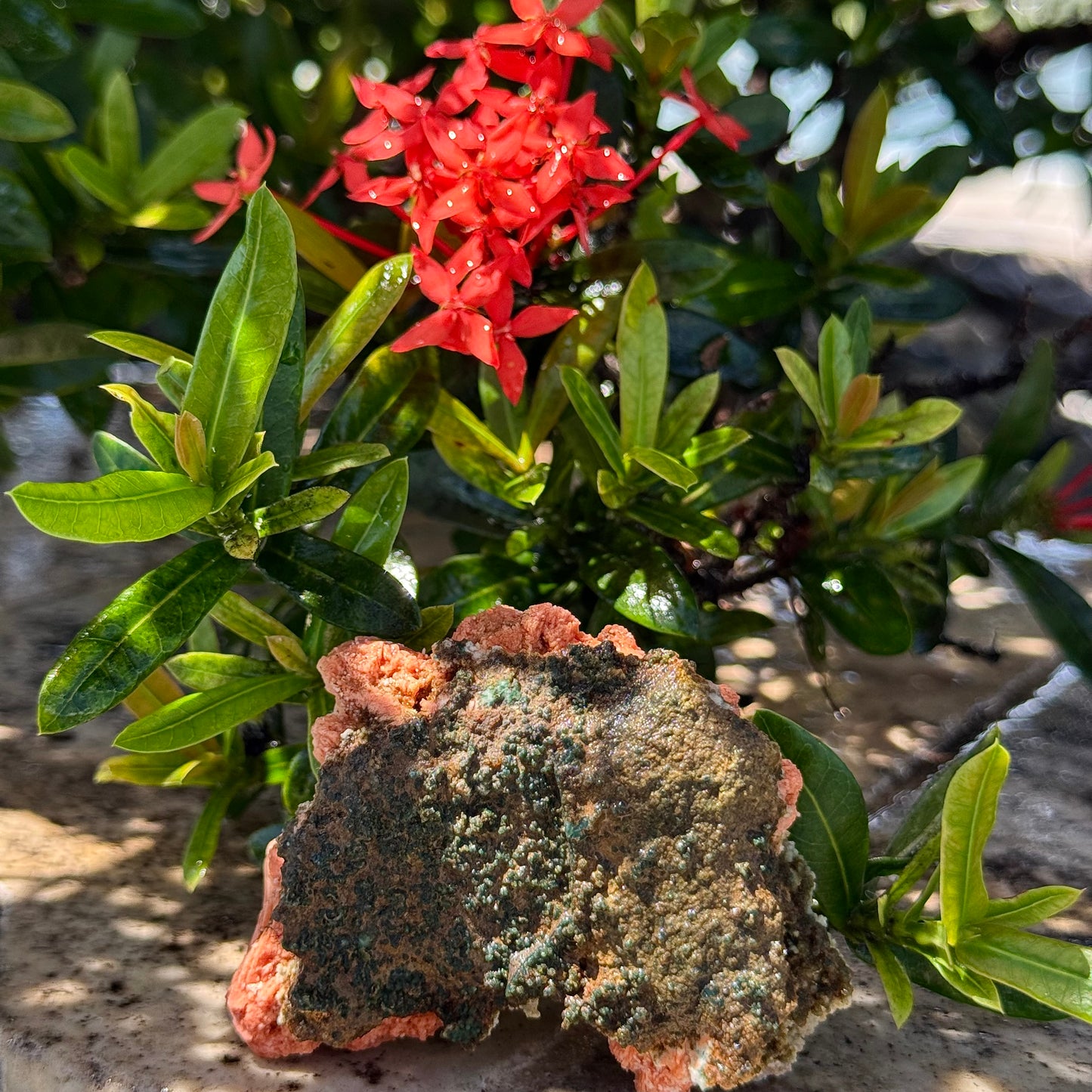 Peach Stilbite Cluster