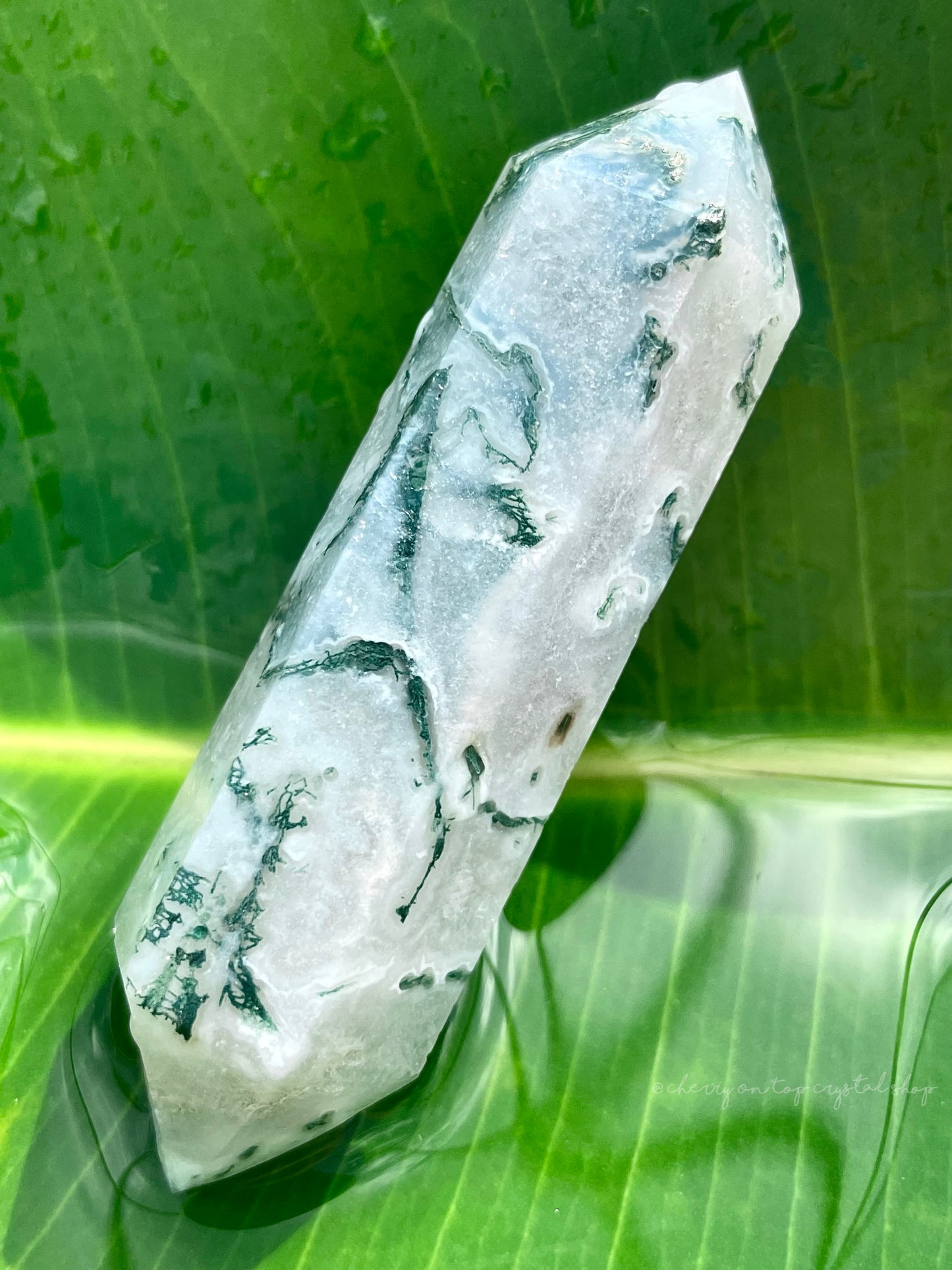 Moss Agate White Druzy Double Terminated DT Point