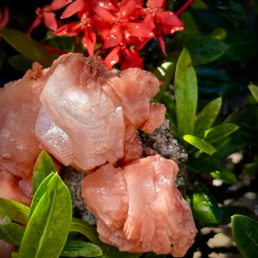 Peach Stilbite Cluster