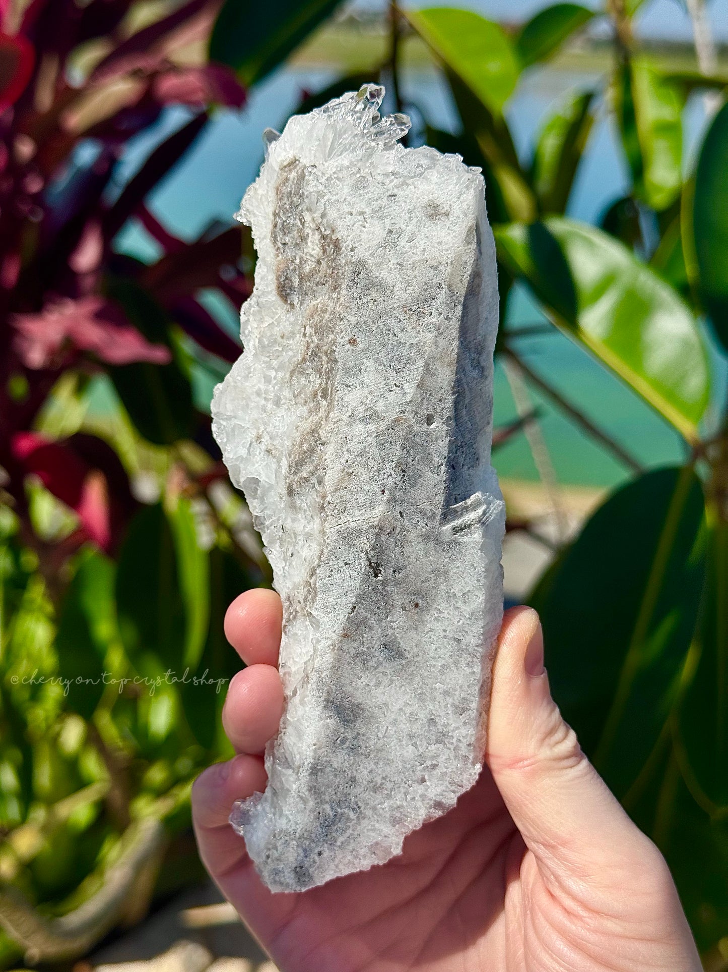 Chrysanthemum Clear Quartz Flower Burst Cluster