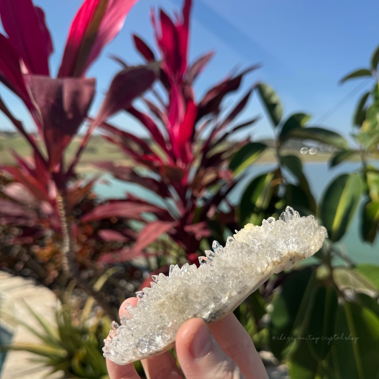 Chrysanthemum Clear Quartz Cluster