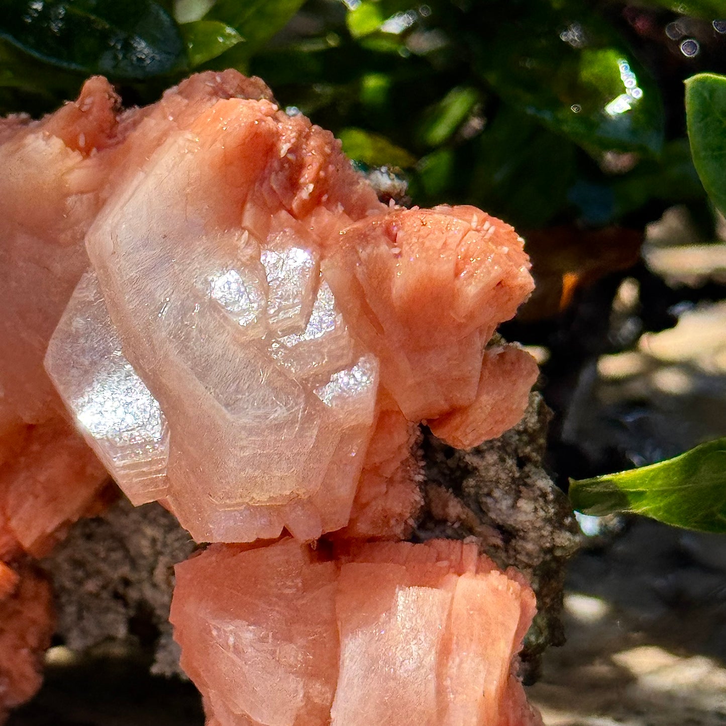 Peach Stilbite Cluster
