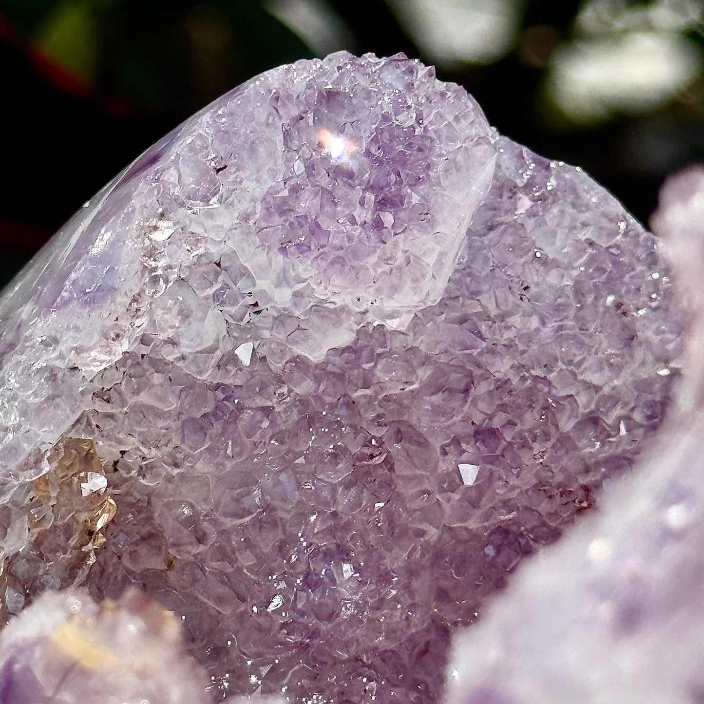 Amethyst Agate Open Shark Mouth Geode