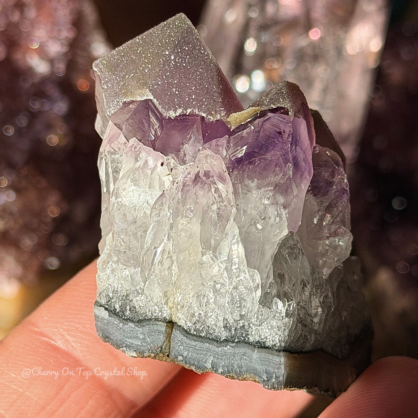 Amethyst Phantom Sugar Tooth Mini