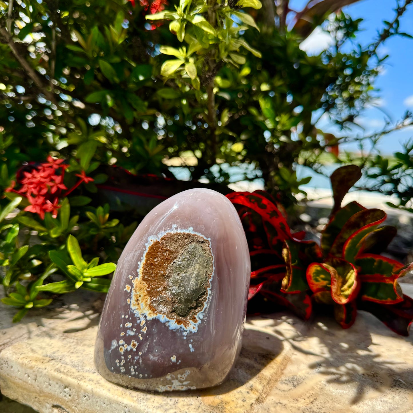 Amethyst Agate Open Shark Mouth Geode