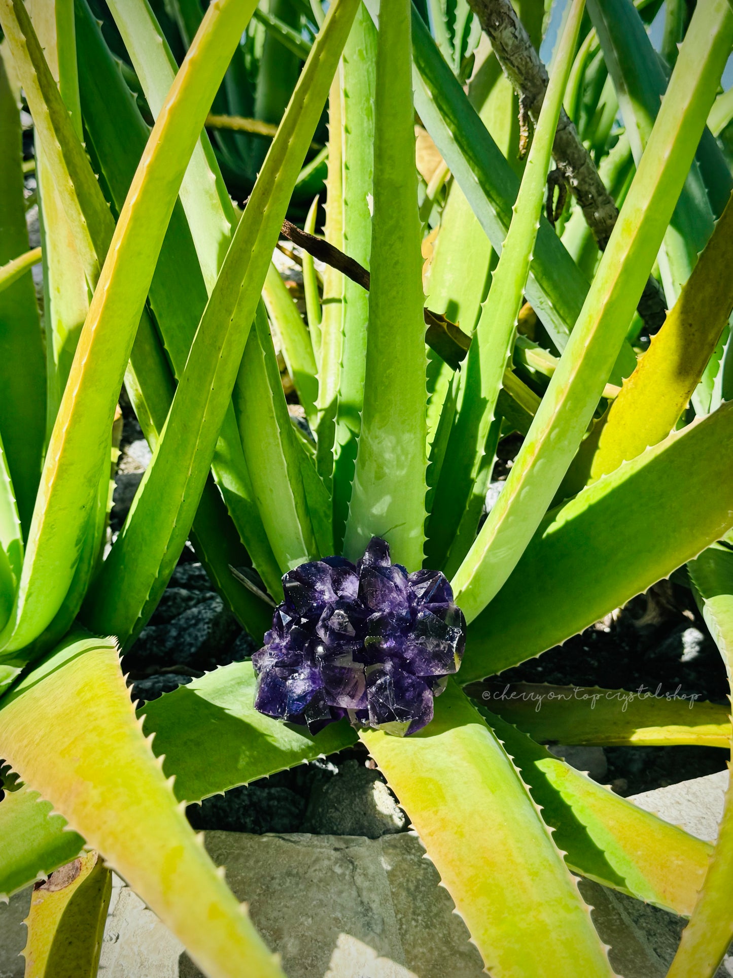 Juicy Grape Amethyst Flower