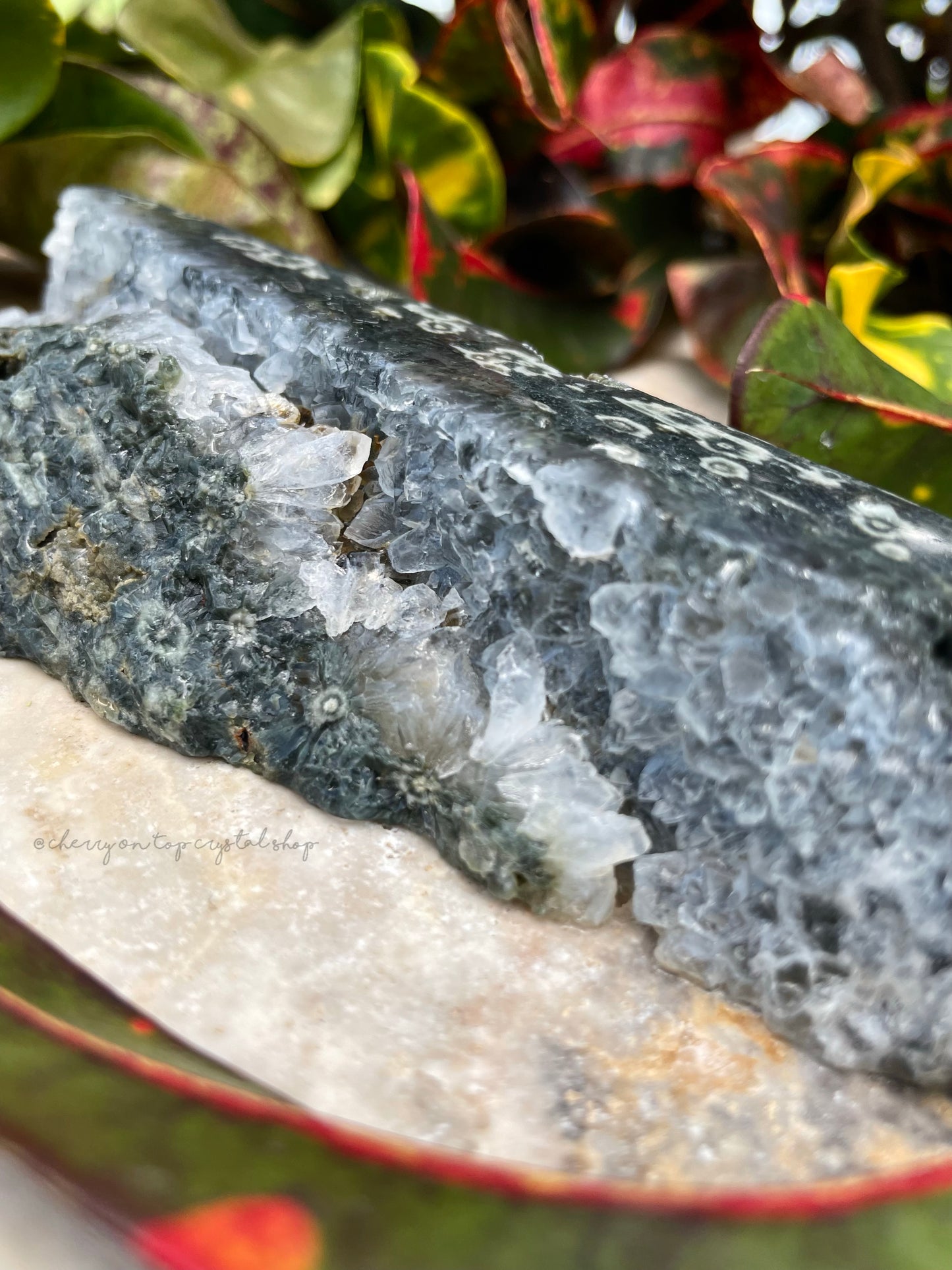 Ocean Jasper Tower Bundle