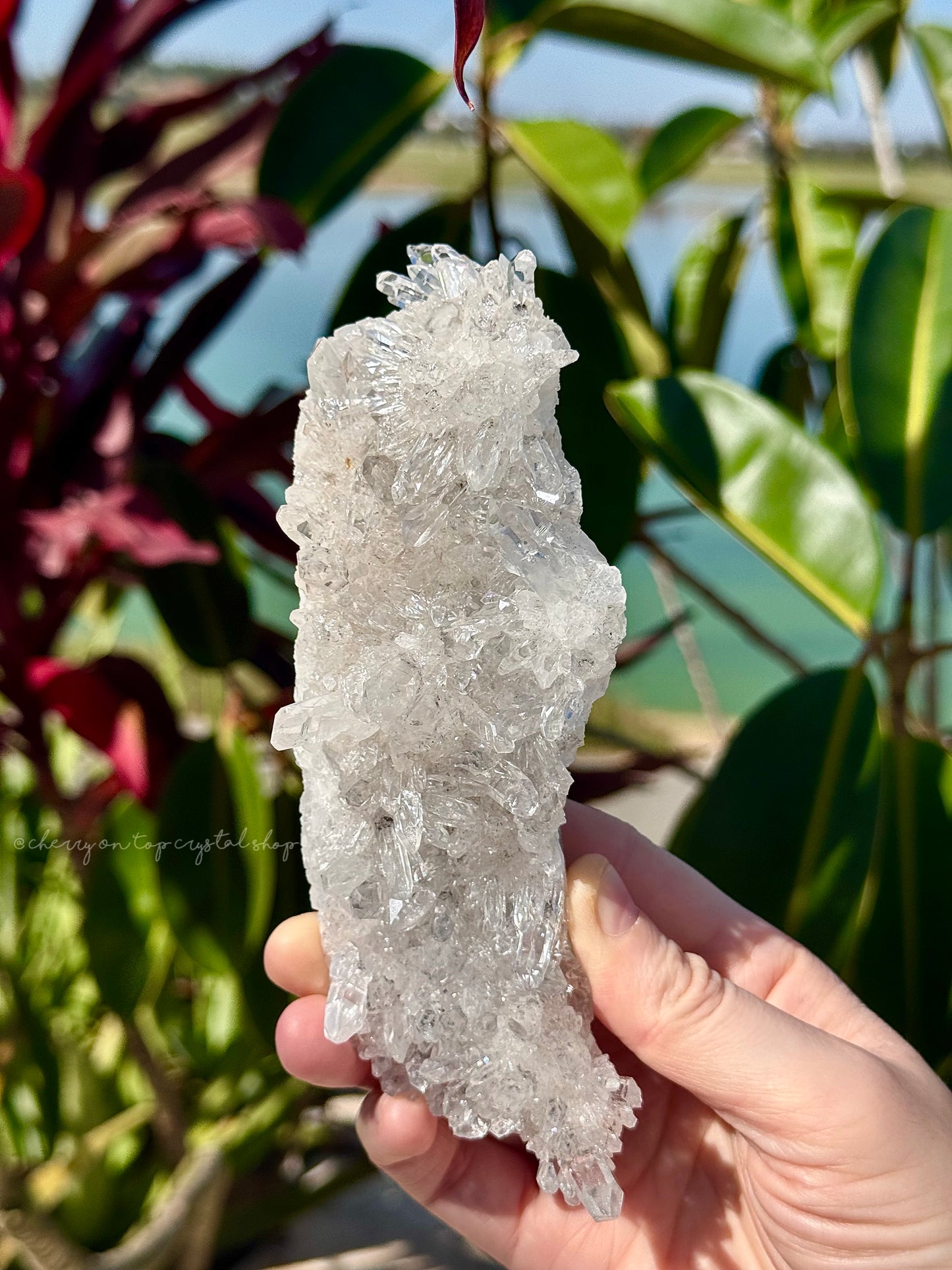 Chrysanthemum Clear Quartz Flower Burst Cluster