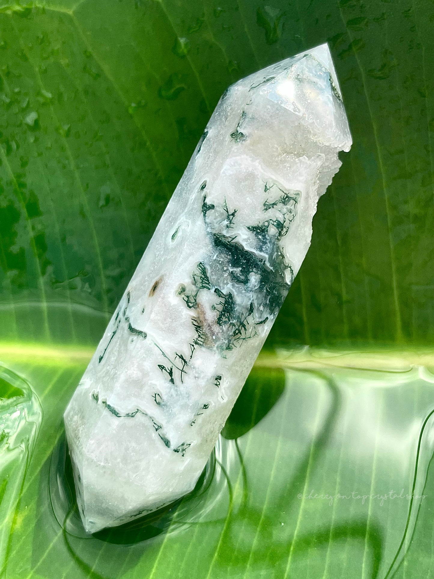 Moss Agate White Druzy Double Terminated DT Point
