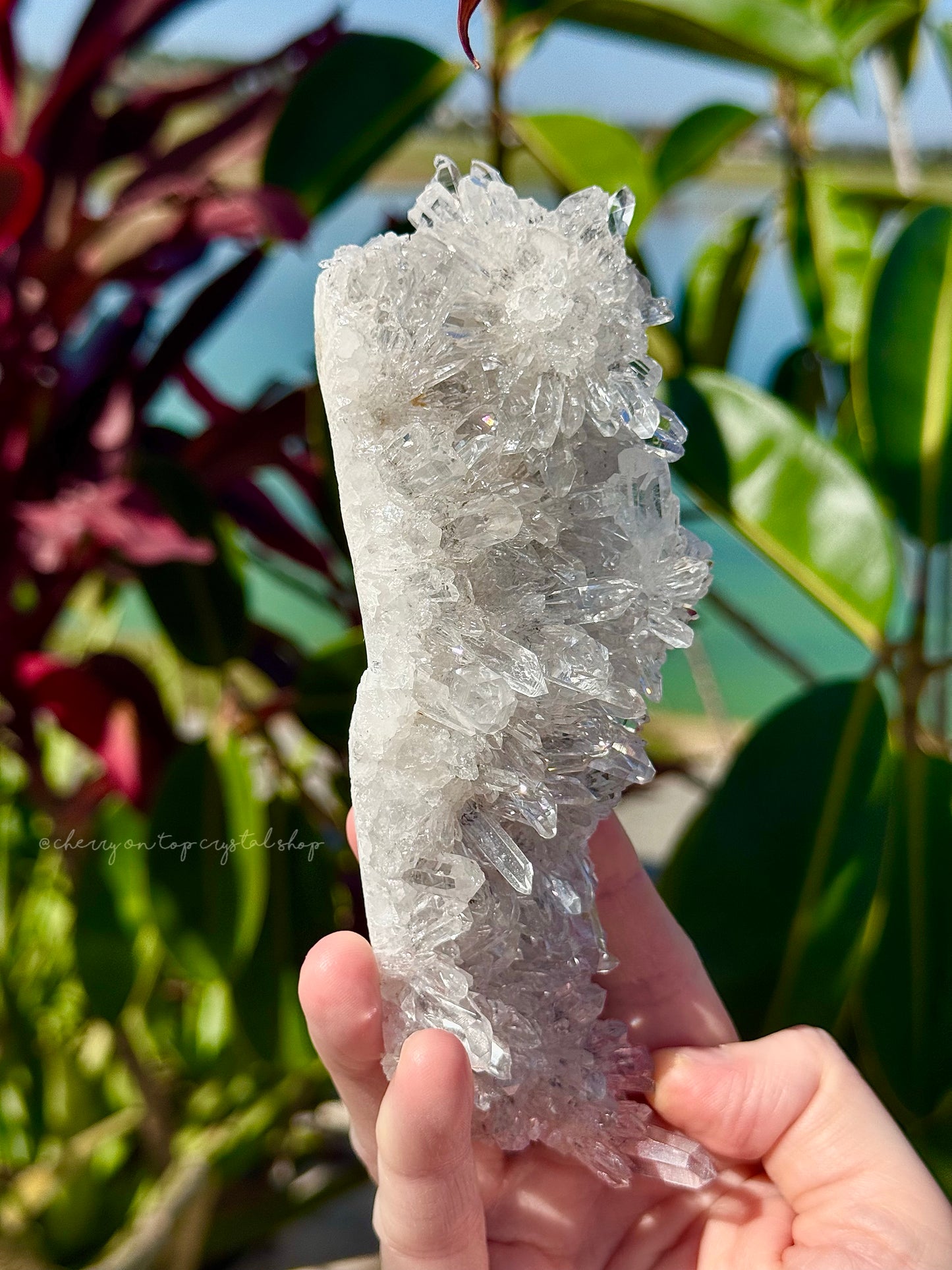 Chrysanthemum Clear Quartz Flower Burst Cluster