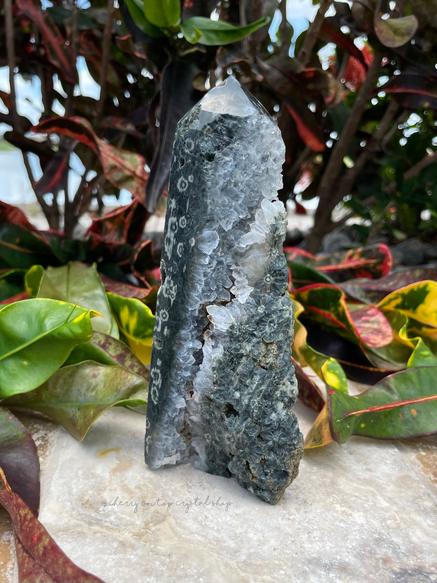 Ocean Jasper Tower Bundle