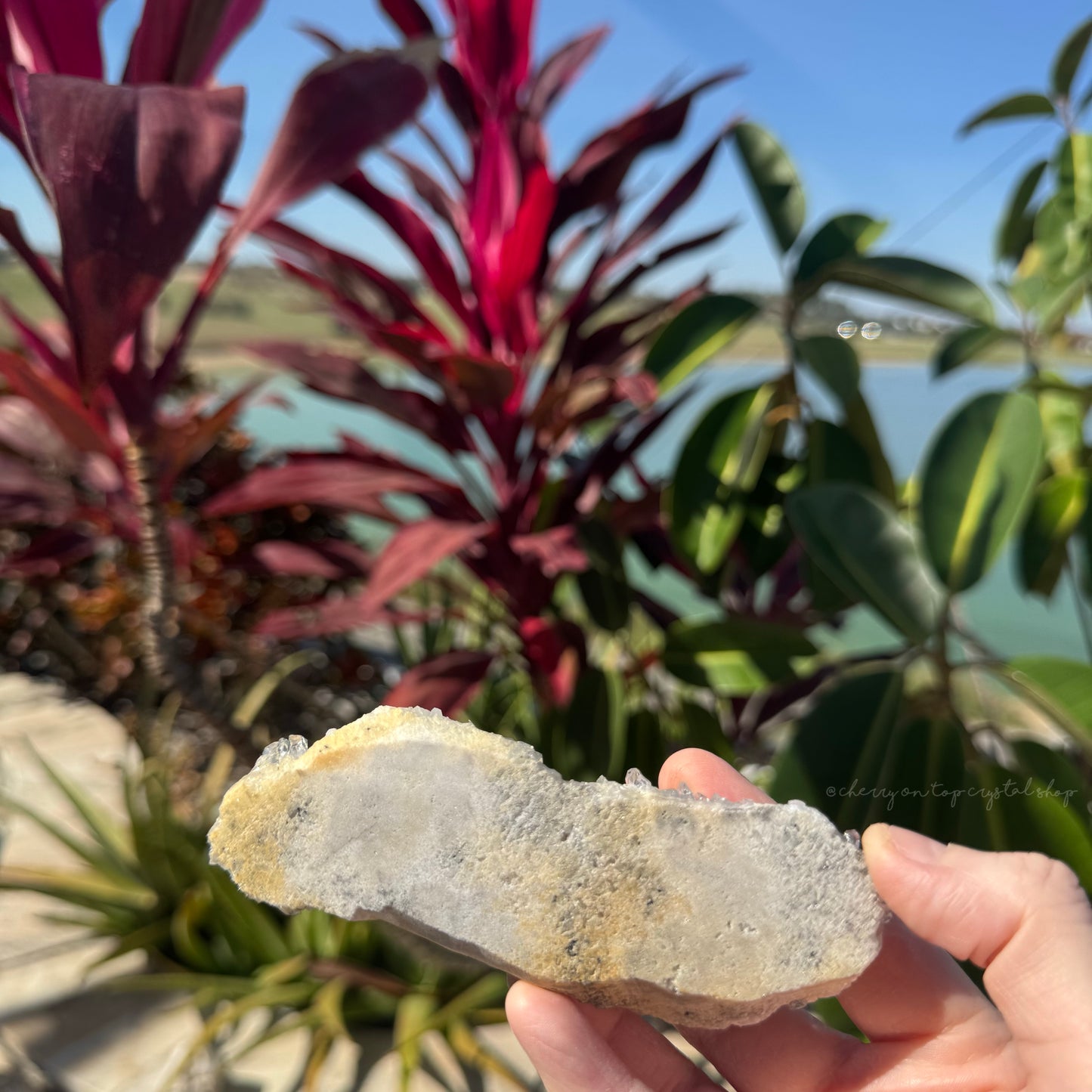 Chrysanthemum Clear Quartz Cluster