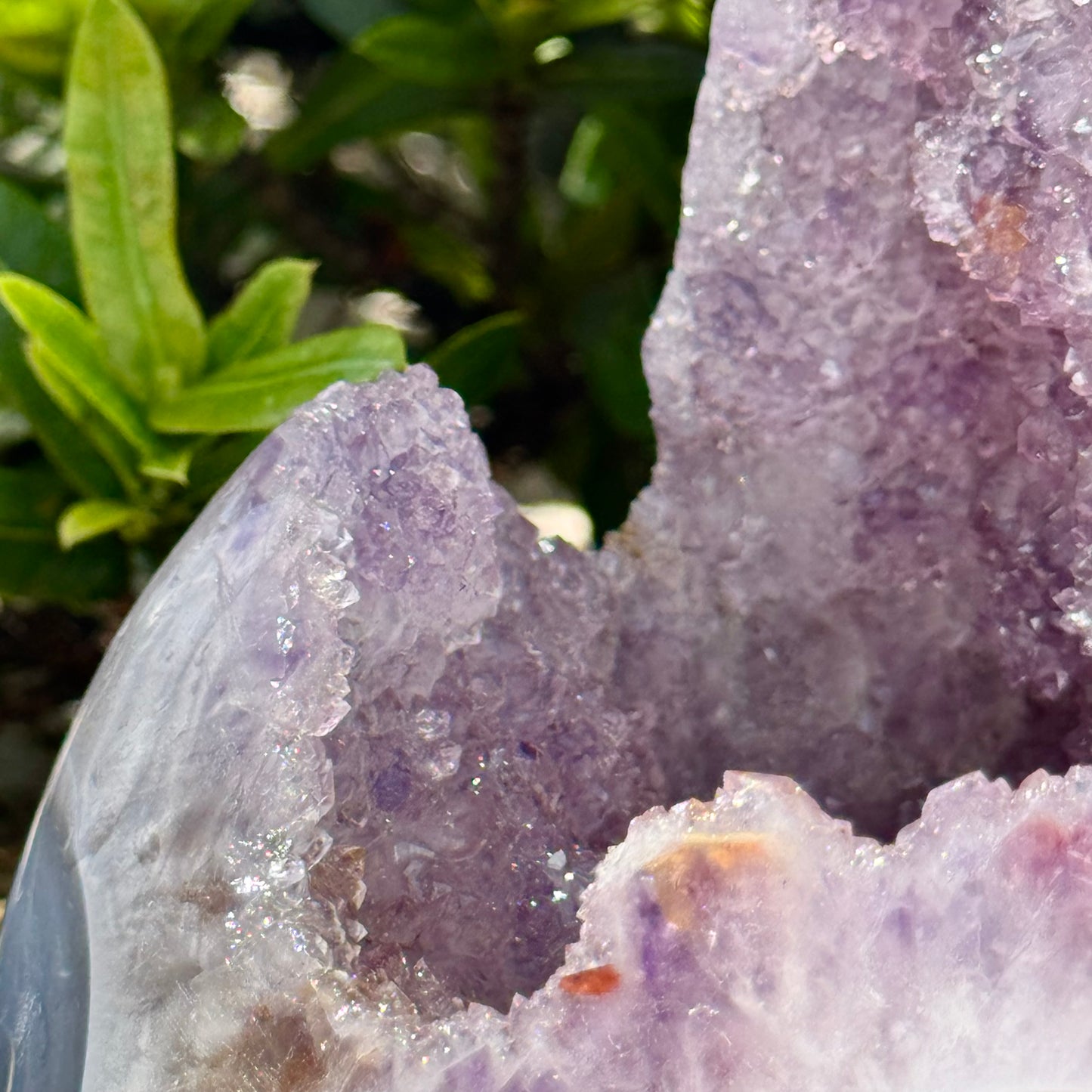 Amethyst Agate Open Shark Mouth Geode