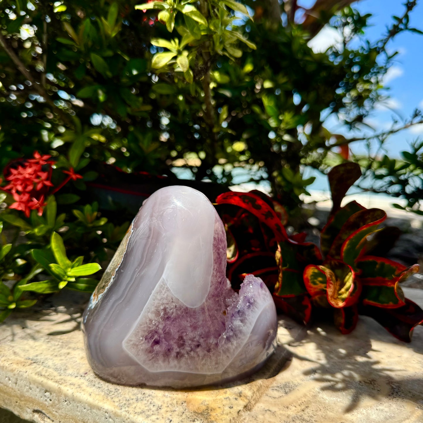 Amethyst Agate Open Shark Mouth Geode