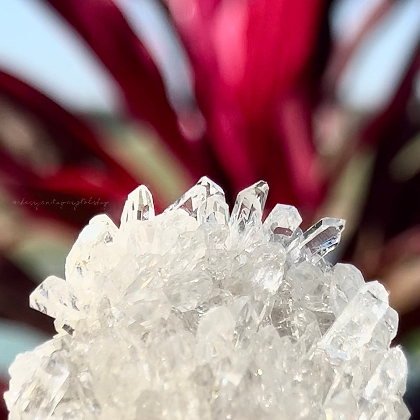 Chrysanthemum Clear Quartz Cluster