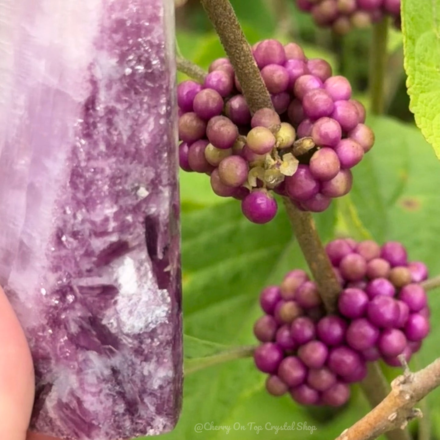 Beautyberry Split Kunzite x Lepidolite Tower