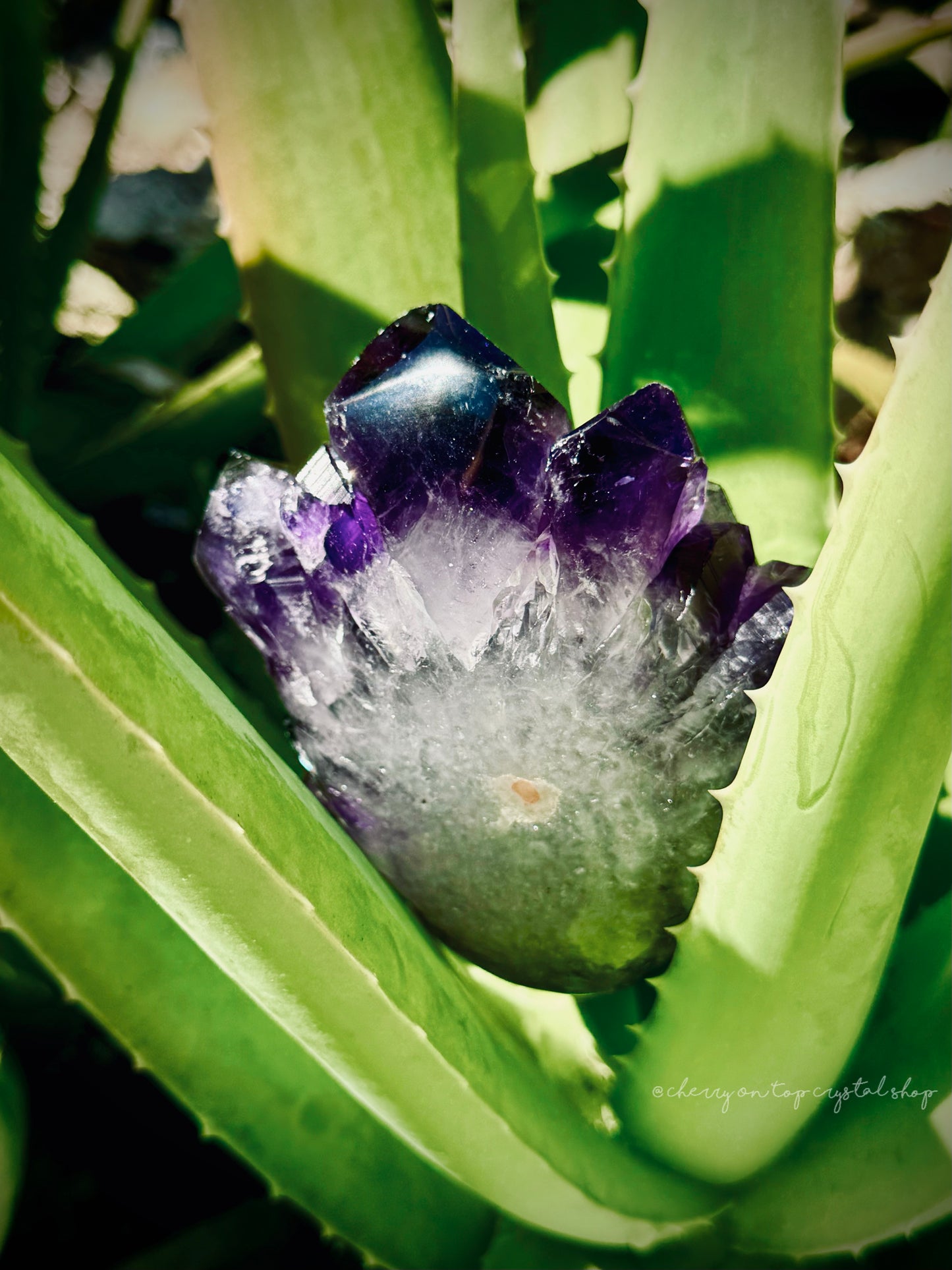 Juicy Grape Amethyst Flower