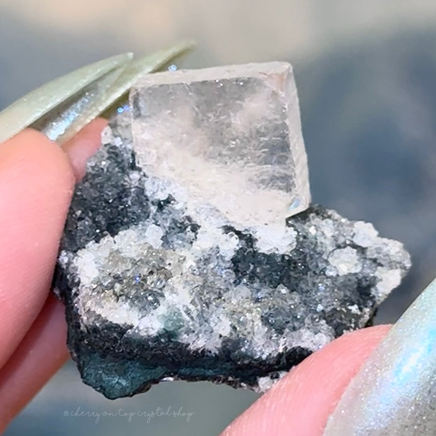 Apophyllite Ice Cube on druzy matrix ✨Collection Piece✨