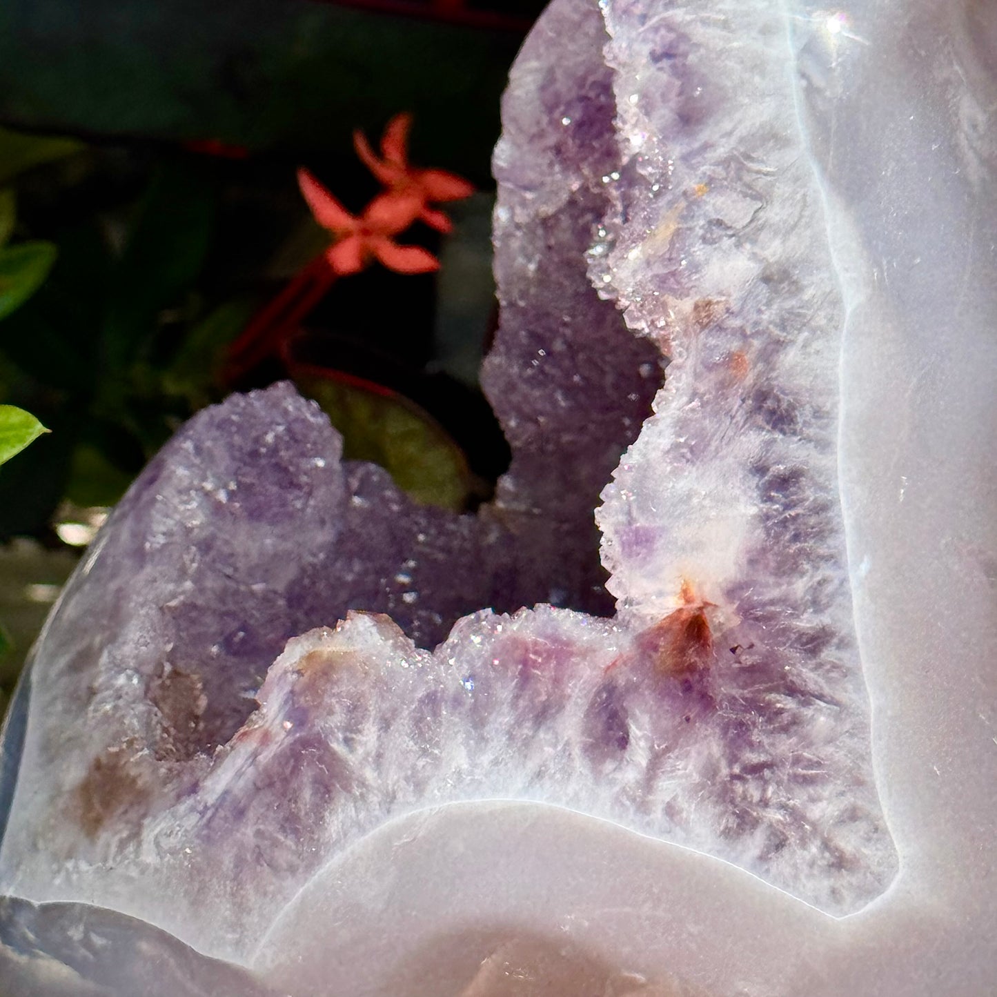 Amethyst Agate Open Shark Mouth Geode